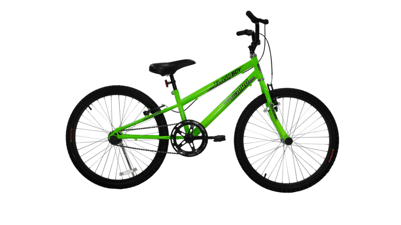 Mountain Bike Aro 24