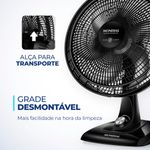 frente